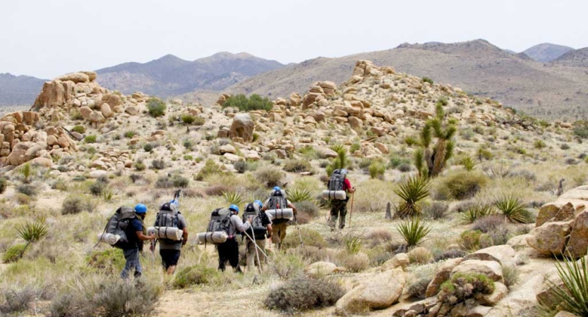 A group of people carrying backpacks hike through a desert landscape with grasses, cacti, large rocks and mountains in the background. 